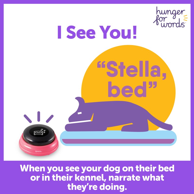 Hunger For Words Talking Pet Next Words: Orte | aufnahmefähige Tasten für Hunde
