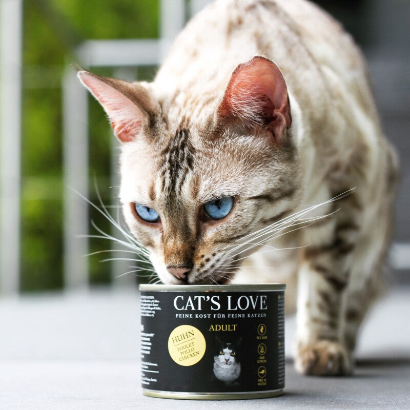 CAT'S LOVE Nassfutter Katze Adult Pute 6x200 g