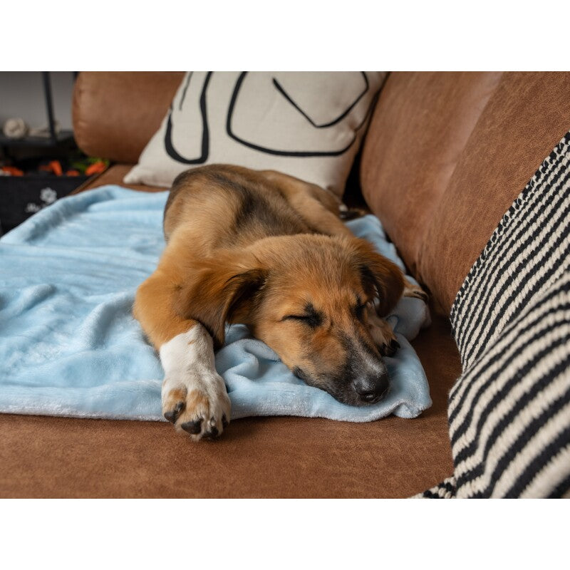 TrendPet Coco Kuscheldecke blau XS