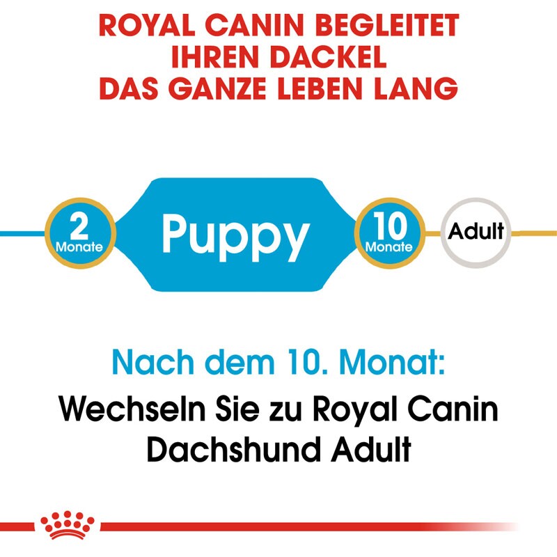 ROYAL CANIN Dachshund Puppy 1,5 kg