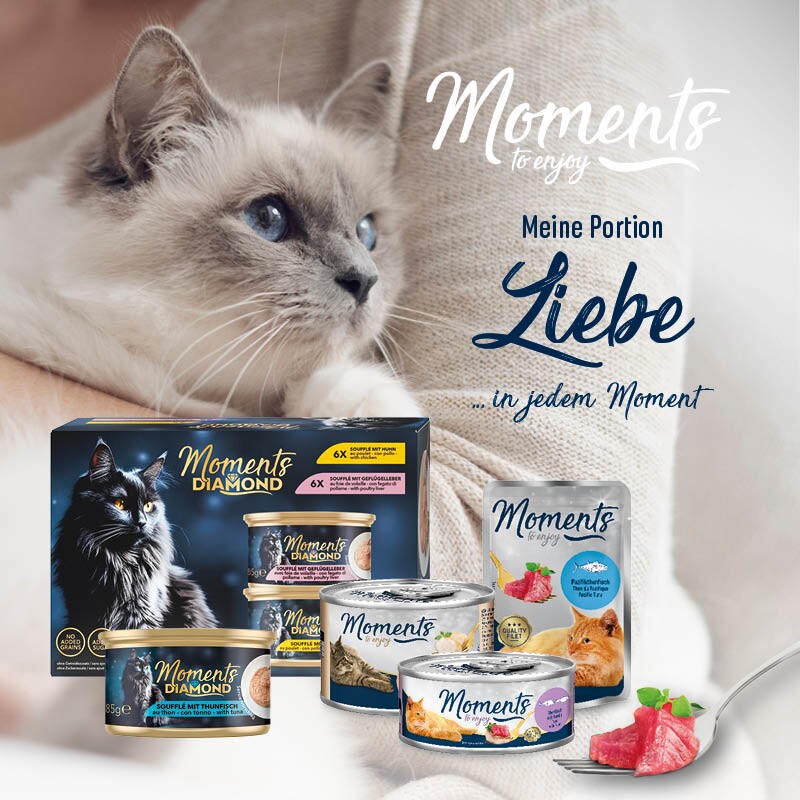 MOMENTS Adult Huhn mit Lachs und Spinat 12x70 g