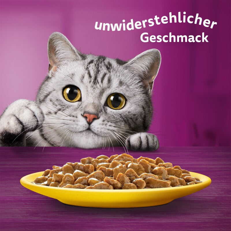 Whiskas Multipack 1+ Geflügel Auswahl in Sauce 24 x 85g