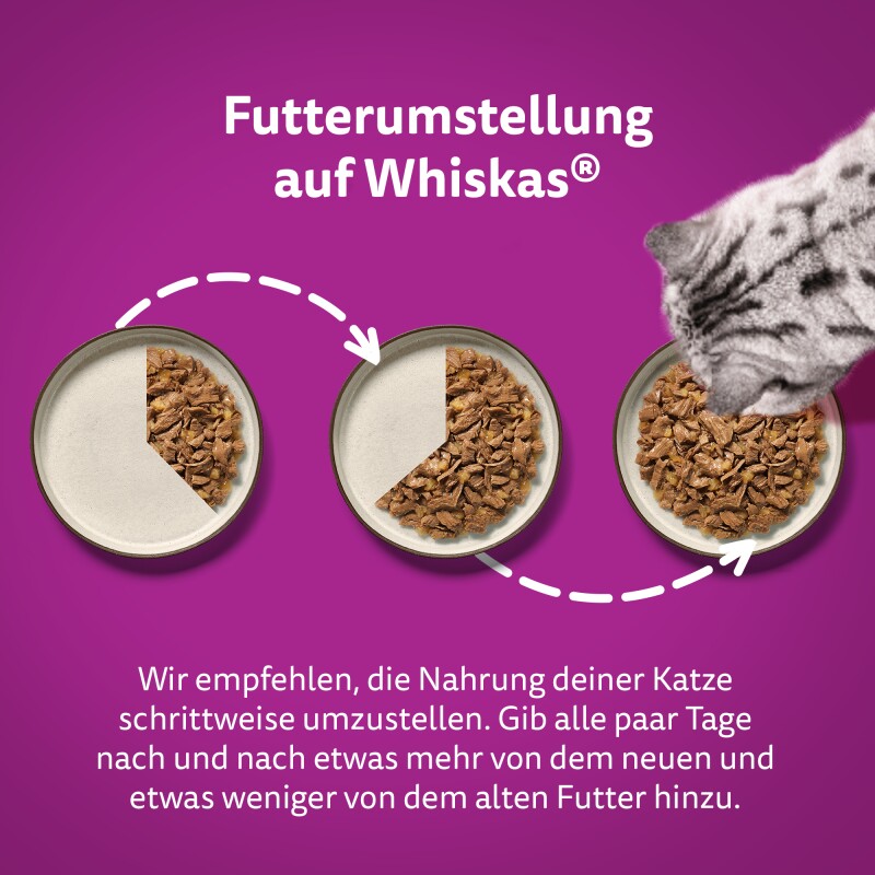 Whiskas Tasty Mix Multipack Chef's Choice in Sauce 12x85 g