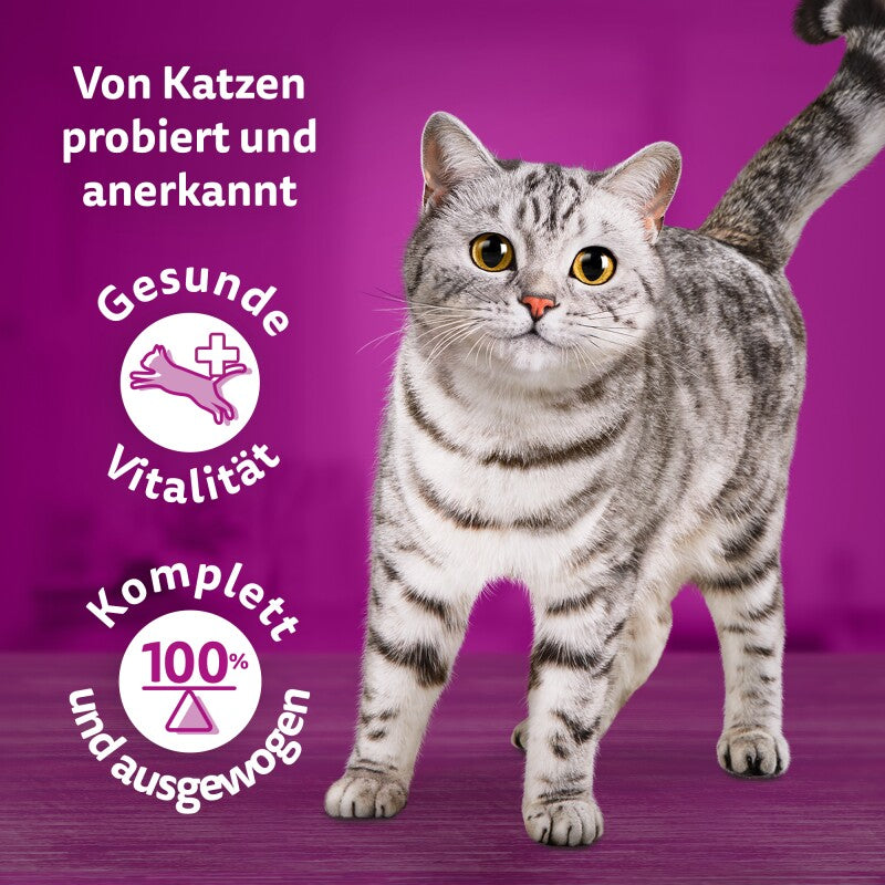 Whiskas Tasty Mix Multipack Chef's Choice in Sauce 12x85 g