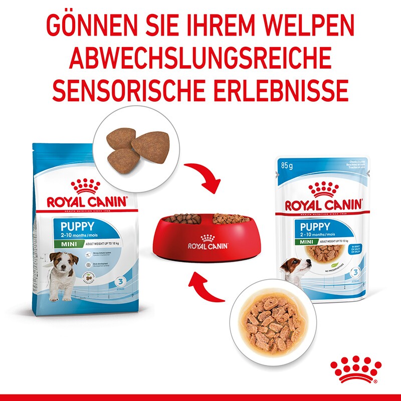 ROYAL CANIN Mini Puppy 12x85g