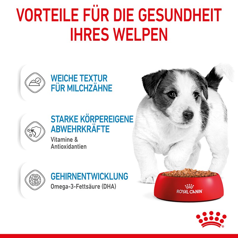 ROYAL CANIN Mini Puppy 12x85g