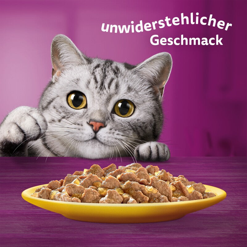 Whiskas Mega Pack 1+ Geflügel Auswahl in Gelee 40 x 85g
