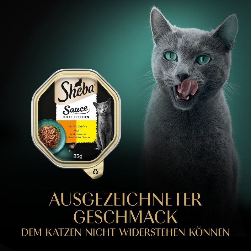 Sheba Sauce Collection 22 x 85 g mit Truthahn und Gemüse, in Sauce