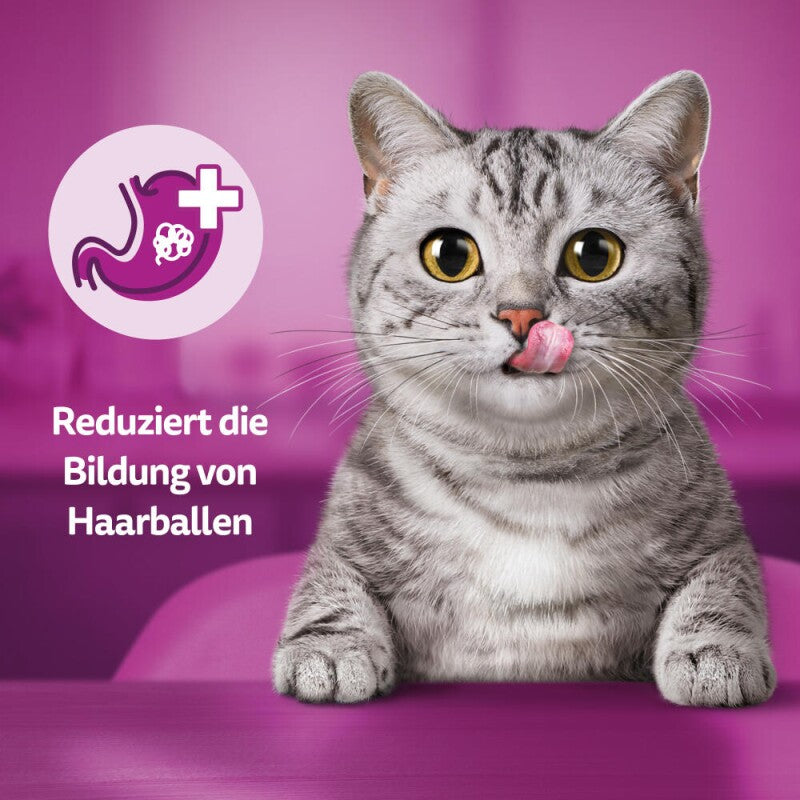 Whiskas Snacks, Anti-Hairball, Huhn 6x50 g