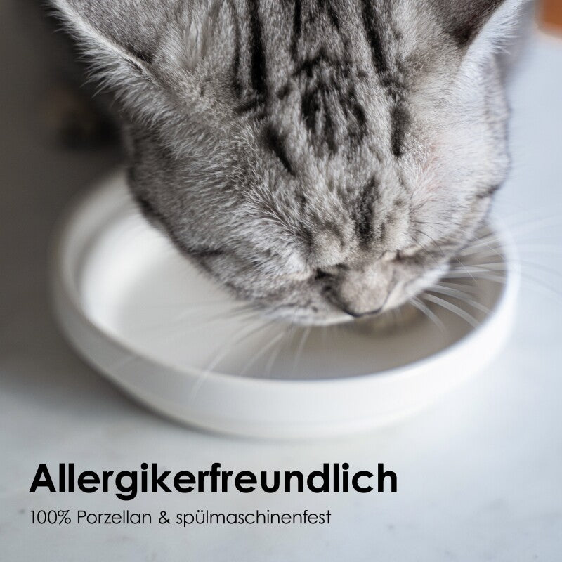 LucyBalu BOWL Porzellan Katzennapf weiß