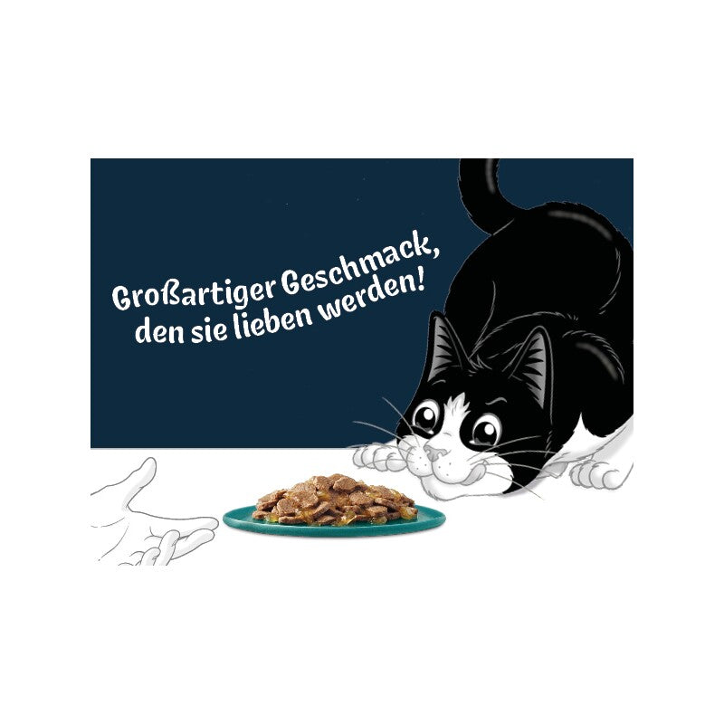 Felix  Köstliche Scheibchen 10 x 80 g Geschmacksvielfalt vom Land