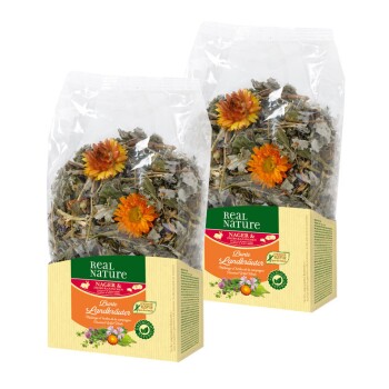 REAL NATURE Kräuter 2x100g Bunte Landkräuter