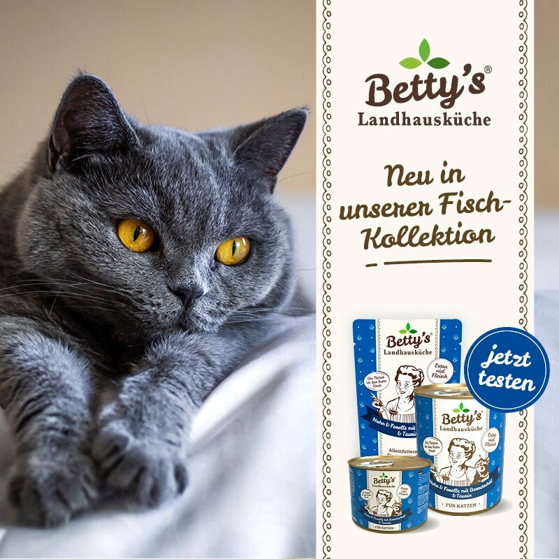 Betty's Landhausküche Huhn und Forelle 6x200 g
