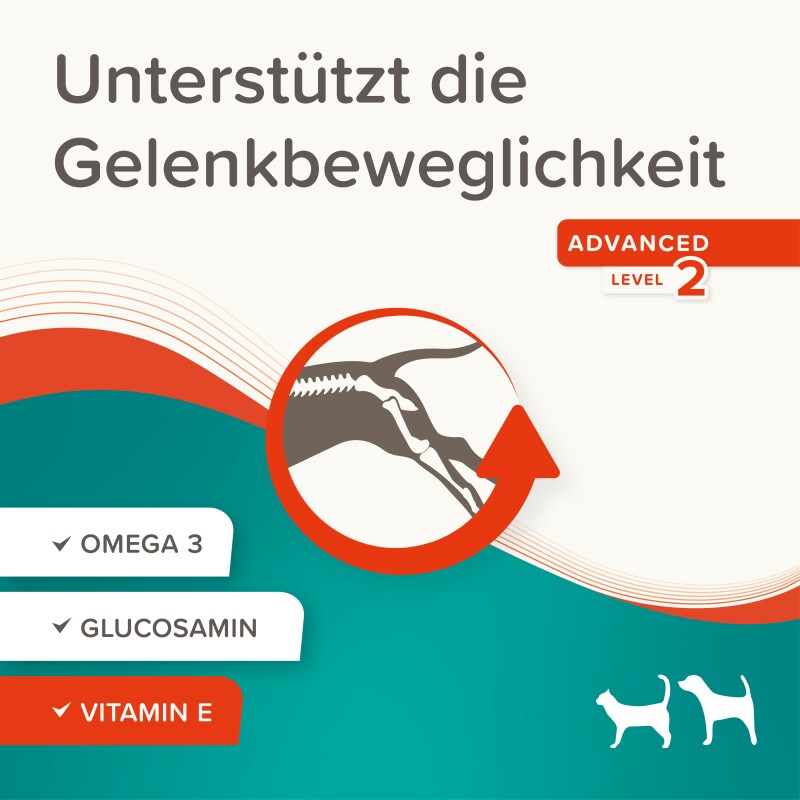 Beaphar Flexifit Snacks Hund und Katze Paste 250 g