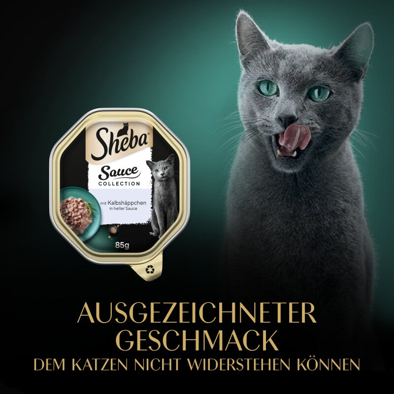 Sheba Sauce Collection 22 x 85 g mit Truthahn und Gemüse, in Sauce