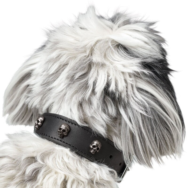 Hunter Halsband Tijuana schwarz 35 cm