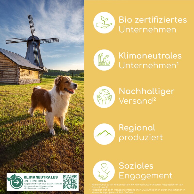 Wolfsbacher Natur Bachblüten Angst