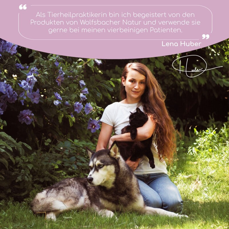 Wolfsbacher Natur Bachblüten Aggression