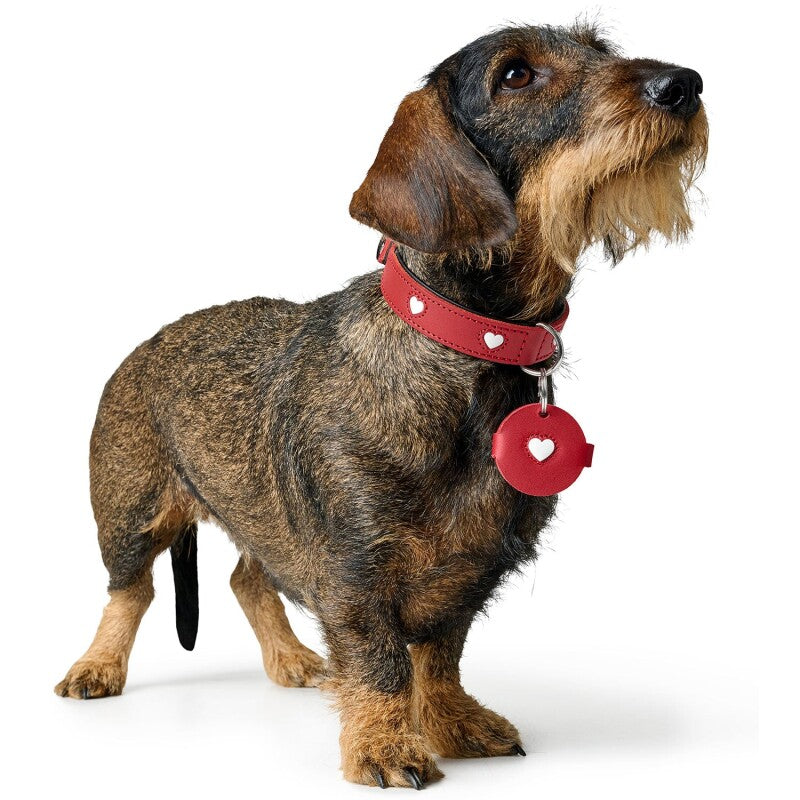 Hunter Anhänger Hundemarken-Etui Love S