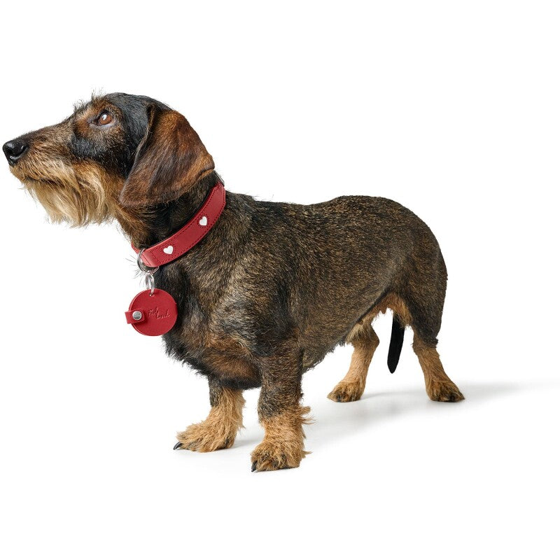 Hunter Anhänger Hundemarken-Etui Love S
