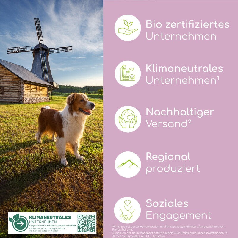 Wolfsbacher Natur Bachblüten Aggression