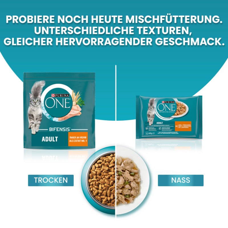 Purina ONE BIFENSIS Sensitive Truthahn und Reis 750 g