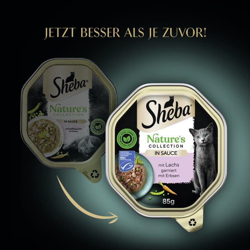 Sheba Nature´s Collection 22 x 85g in Sauce Truthahn und Pute