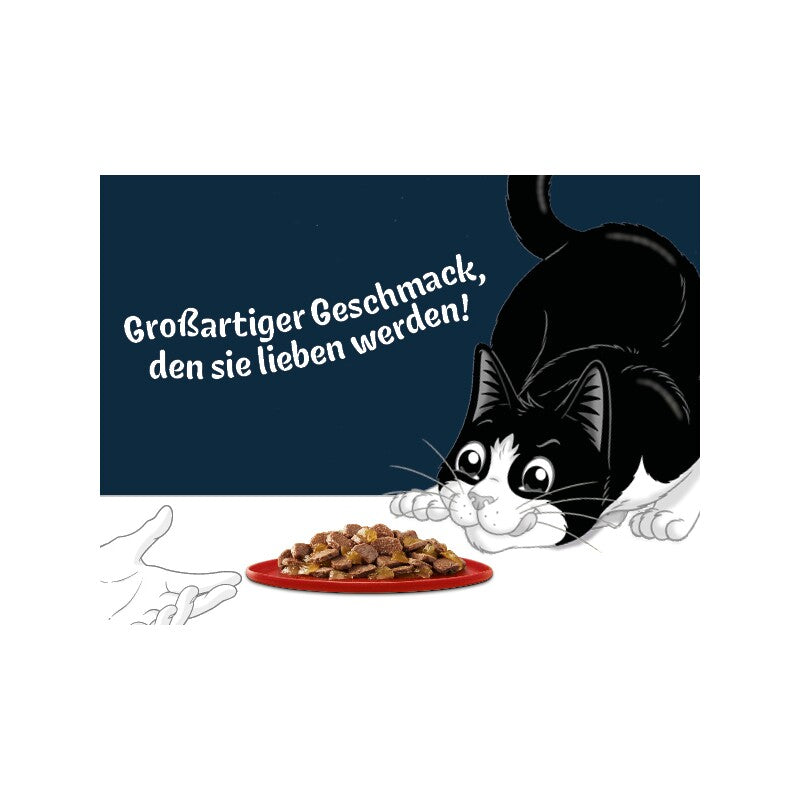 Felix  Köstliche Scheibchen 10 x 80 g Geschmacksvielfalt vom Land