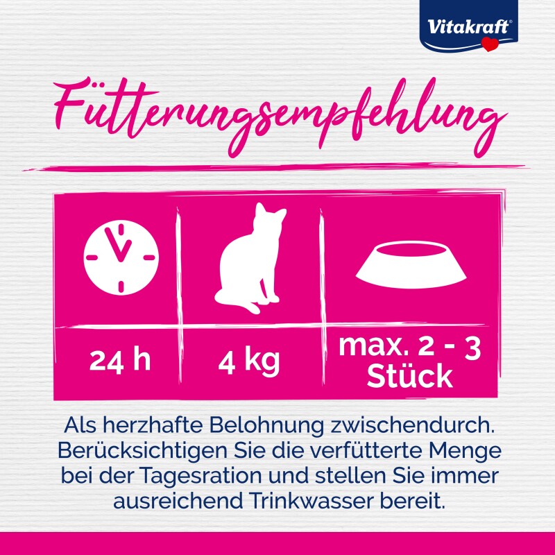 Vitakraft Liquid Snack Multipack mit Lachs und Leberwurst 16x15 g
