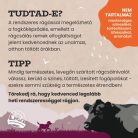 Farkaskonyha kutya rágcsa marhaín 250g
