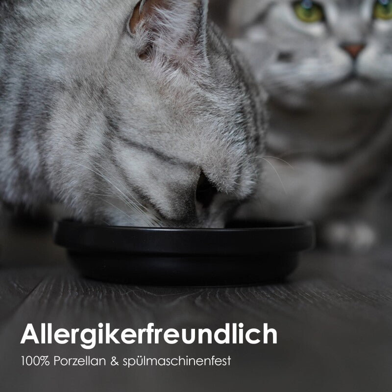 LucyBalu BOWL Porzellan Katzennapf weiß