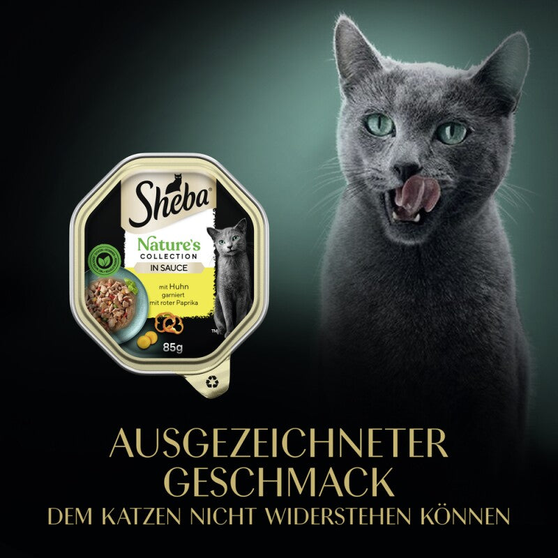 Sheba Nature´s Collection 22 x 85g in Sauce Truthahn und Pute