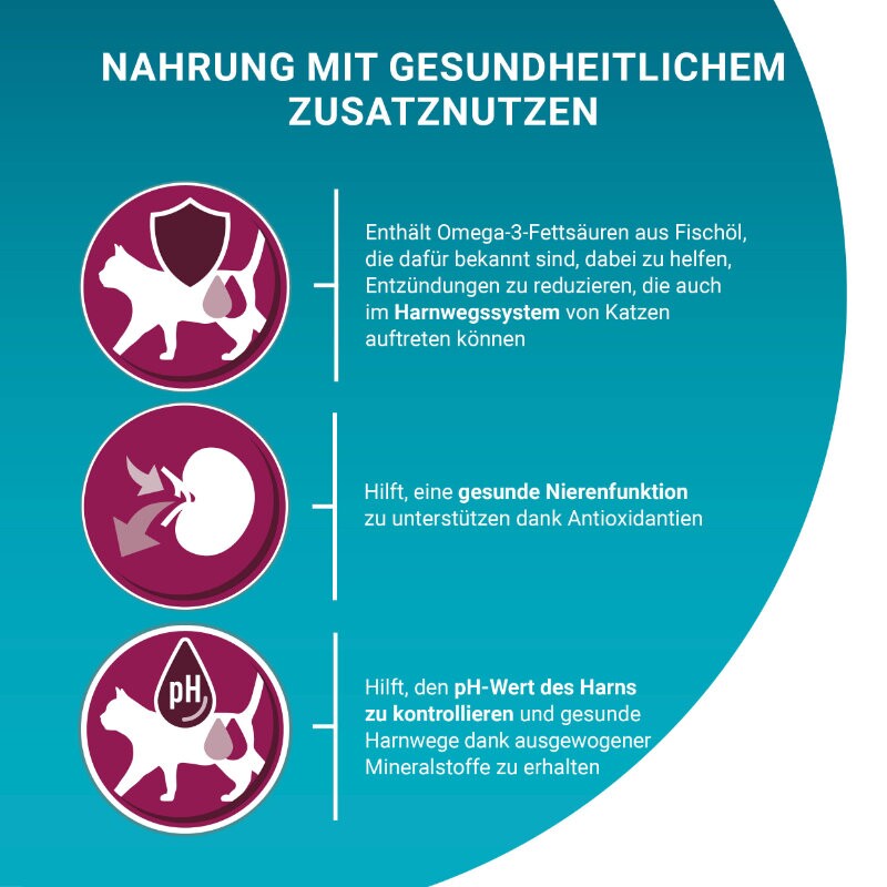Purina ONE BIFENSIS Urinary Health 750 g