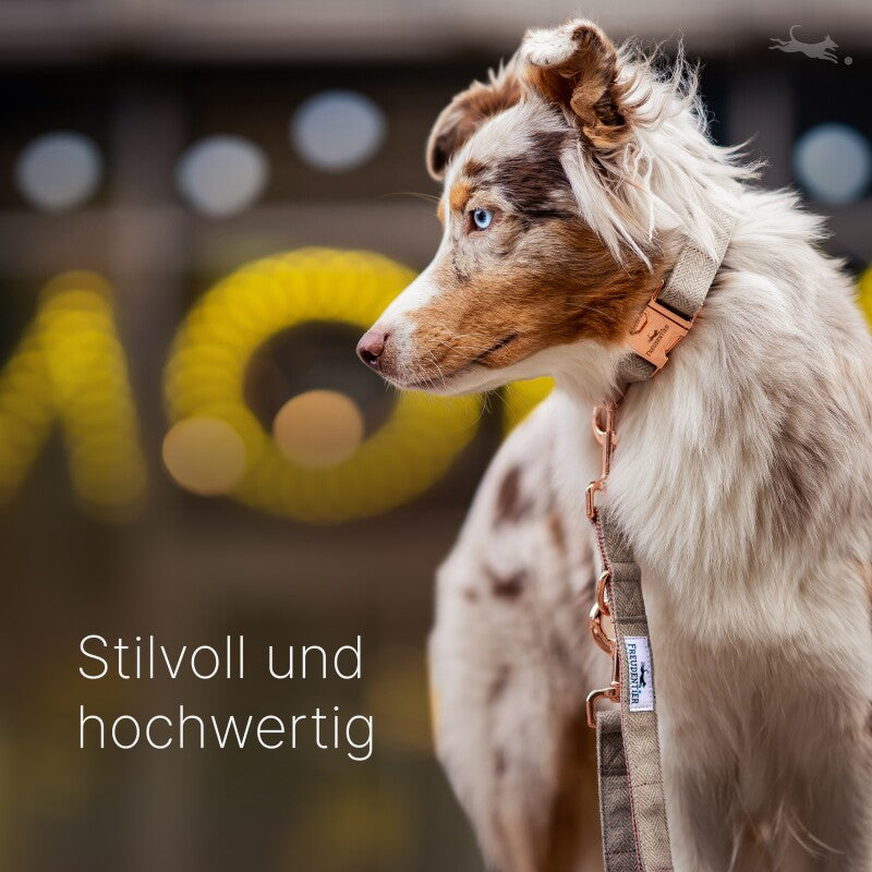 Freudentier Hundehalsband & Hundeleine im Set - 2m Führleine, 3-fach verstellbar - Classic Kollektion S-M