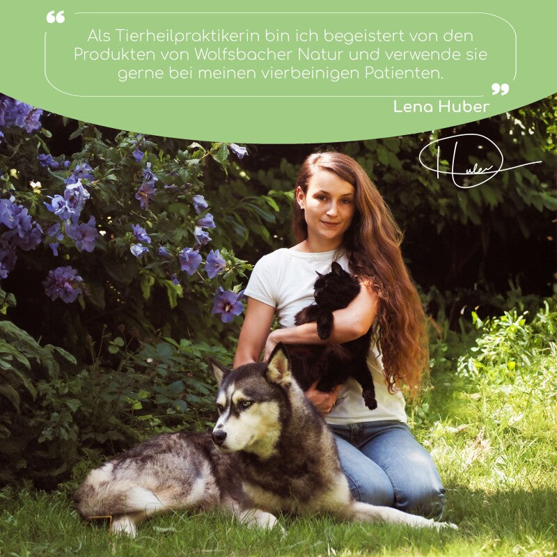 Wolfsbacher Natur Bachblüten Einsamkeit