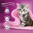 Whiskas Casserole macska tasak MP junior szárnyas 4x85g