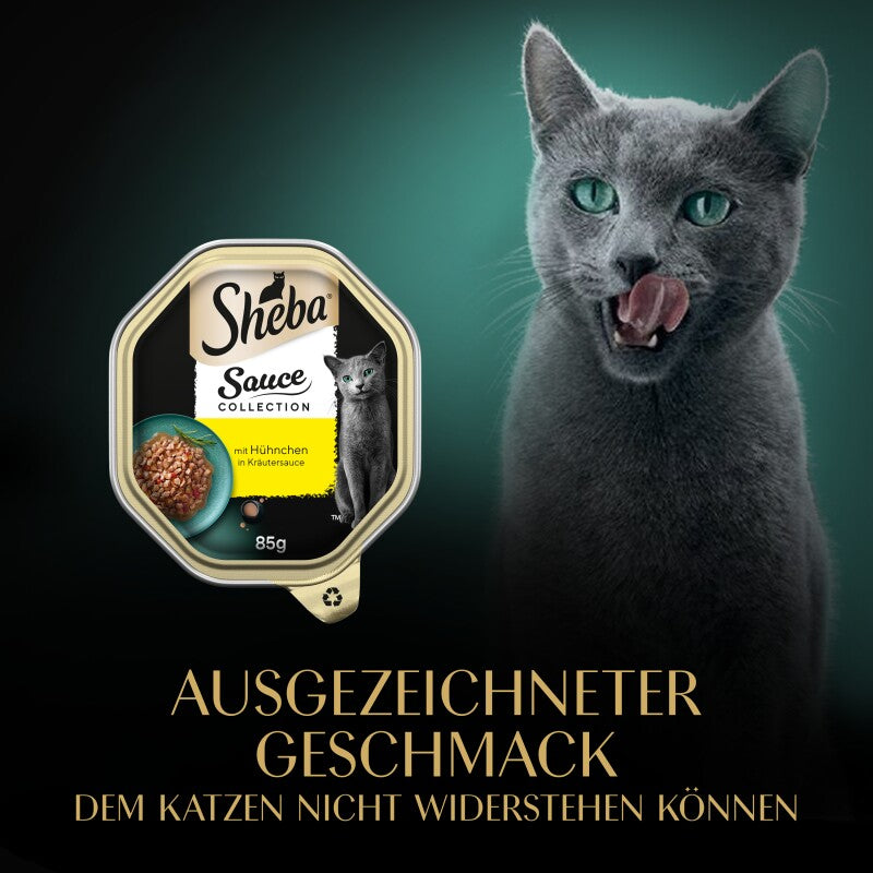 Sheba Sauce Collection 22 x 85 g mit Truthahn und Gemüse, in Sauce