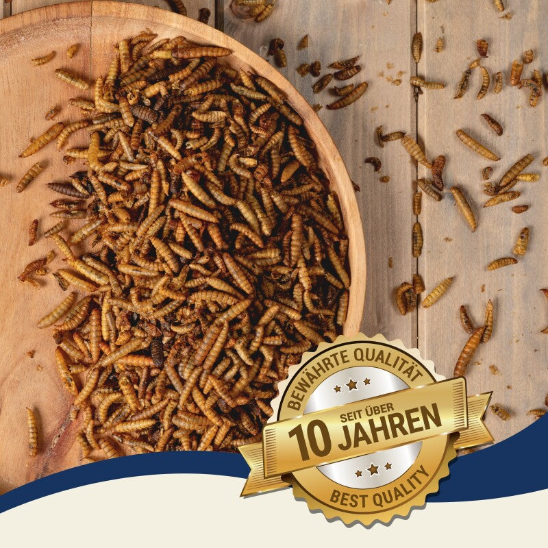 Lyra Pet Soldatenfliegenlarven 5 kg