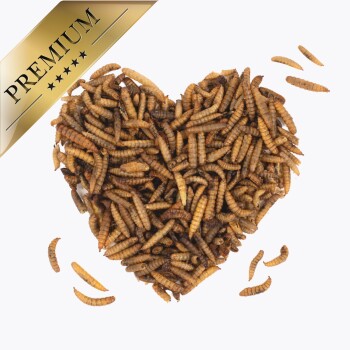 Lyra Pet Soldatenfliegenlarven 5 kg